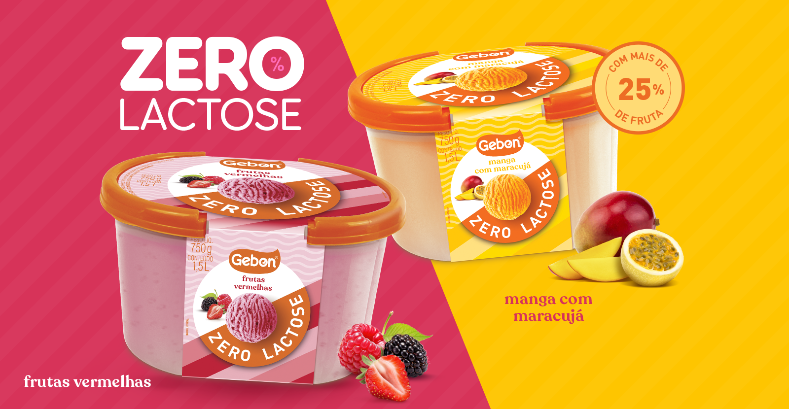 geb 0042 24   produtos lanamentos   banner site   zero lactose v2
